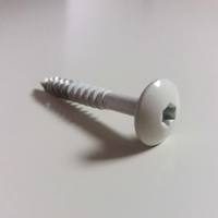Parafusos Percinox para Painéis Equitone/Cedral